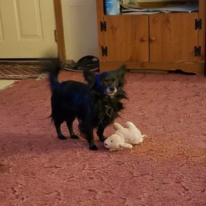 Meet your Posher, Tammy